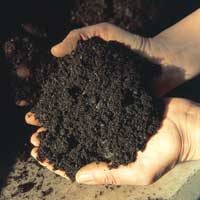 Topsoil Topsoil