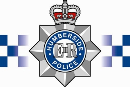 police police