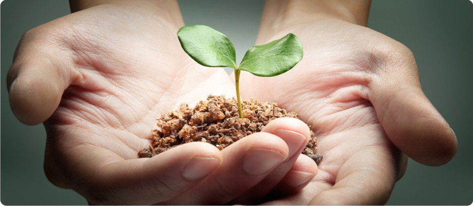 top_soil top_soil